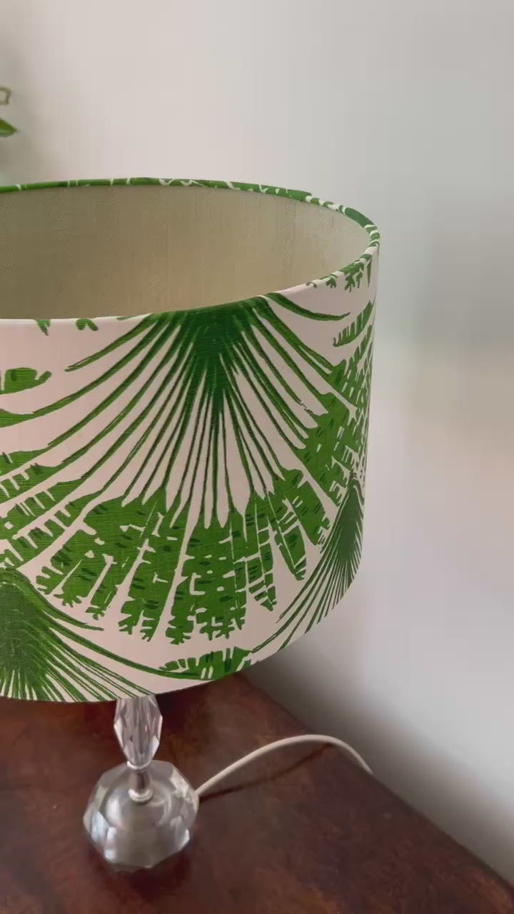 close up video of palm shade light off inside and out