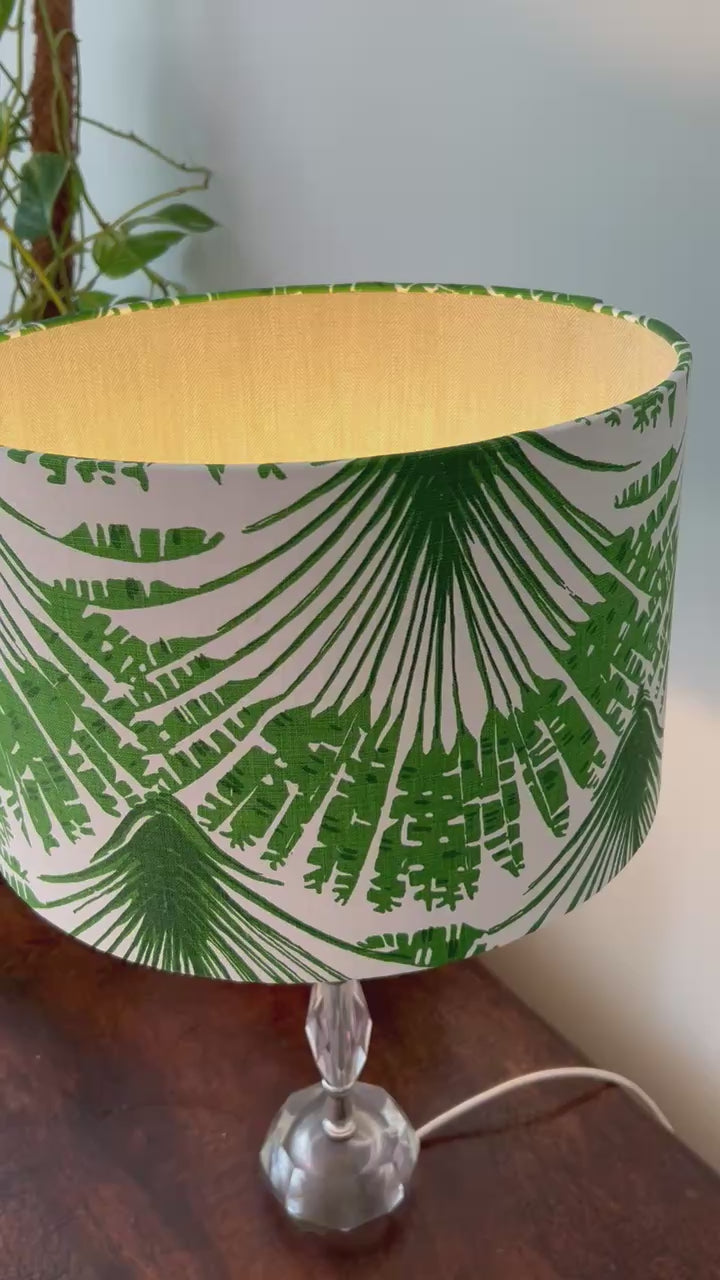 Short video of palm botanical shade close up - light on